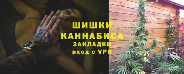 дурь Михайловск