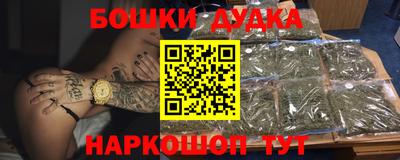 индика Северобайкальск