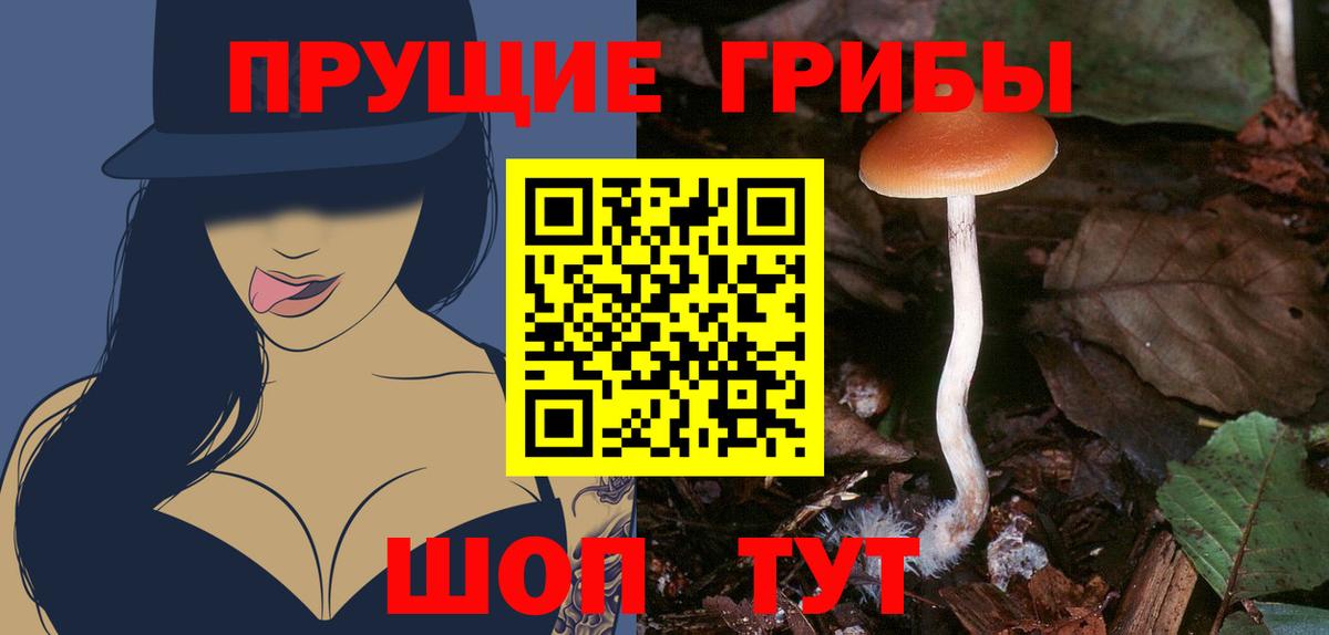 Галлюциногенные грибы Psilocybine cubensis Нефтекамск